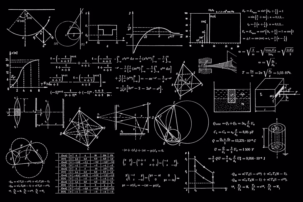 Area Fisica